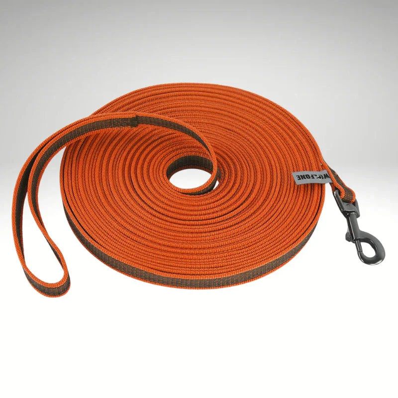 laisse pour chien couleur orange