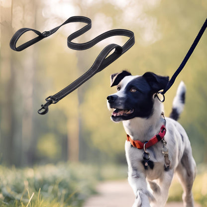 laisse pour chien couleur poignee noir