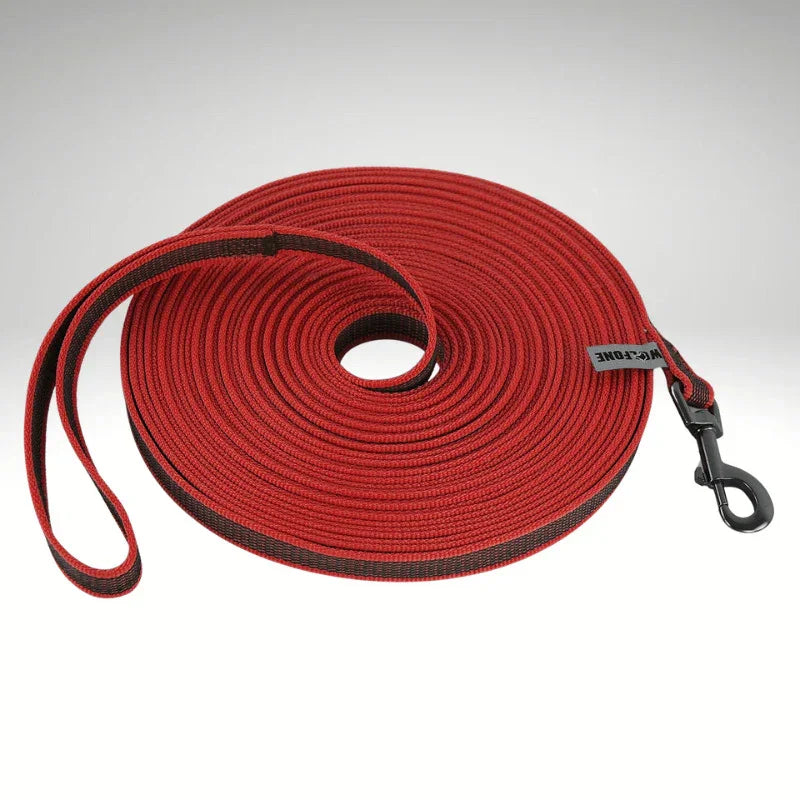 laisse pour chien couleur rouge