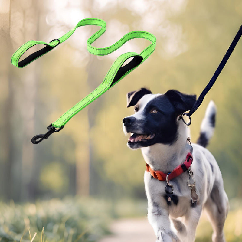 laisse pour chien couleur vert fluo