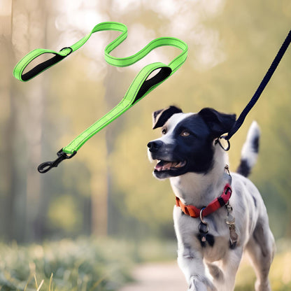 laisse pour chien couleur vert fluo