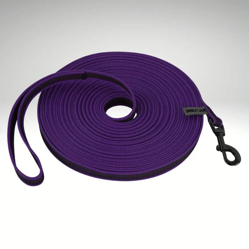 laisse pour chien couleur violet