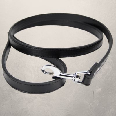 laisse pour chien cuir pu noir