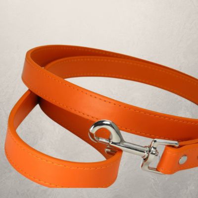laisse pour chien cuir pu orange