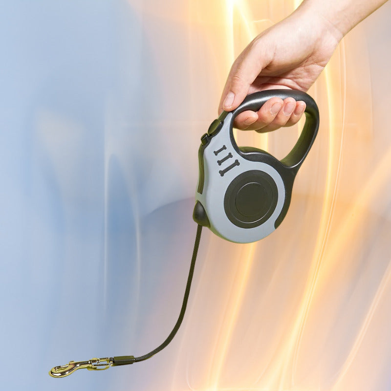 laisse pour chien demonstration etire