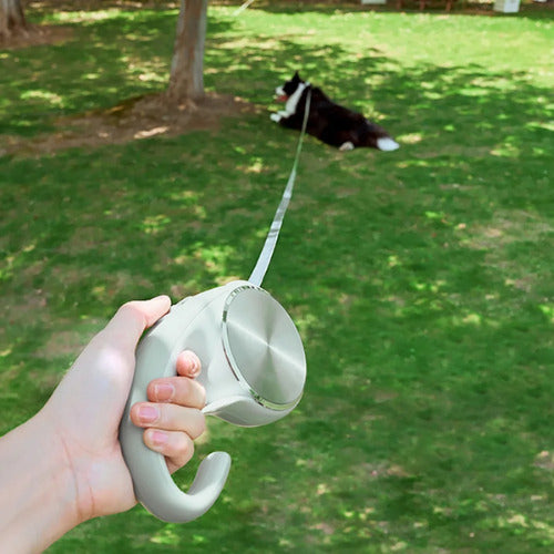 laisse pour chien demontration longueur laisse