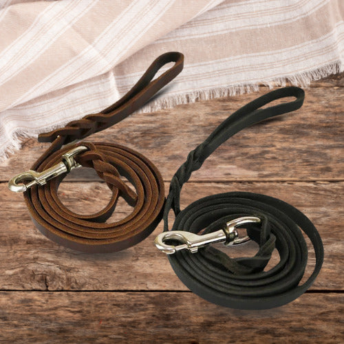 laisse pour chien deux couleur marron noir