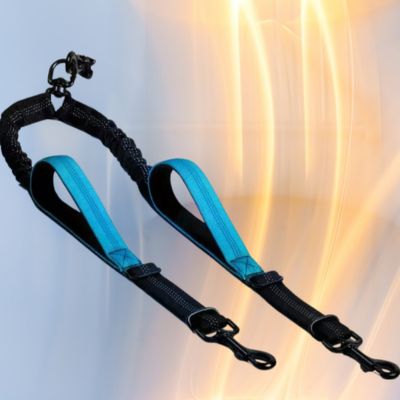 laisse pour chien double couleur bleu