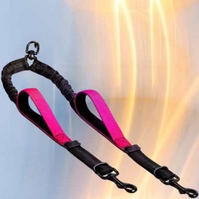 laisse pour chien double couleur rose