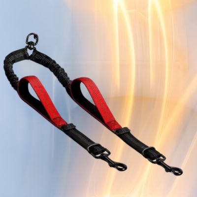 laisse pour chien double couleur rouge