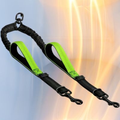 laisse pour chien double couleur vert fluo