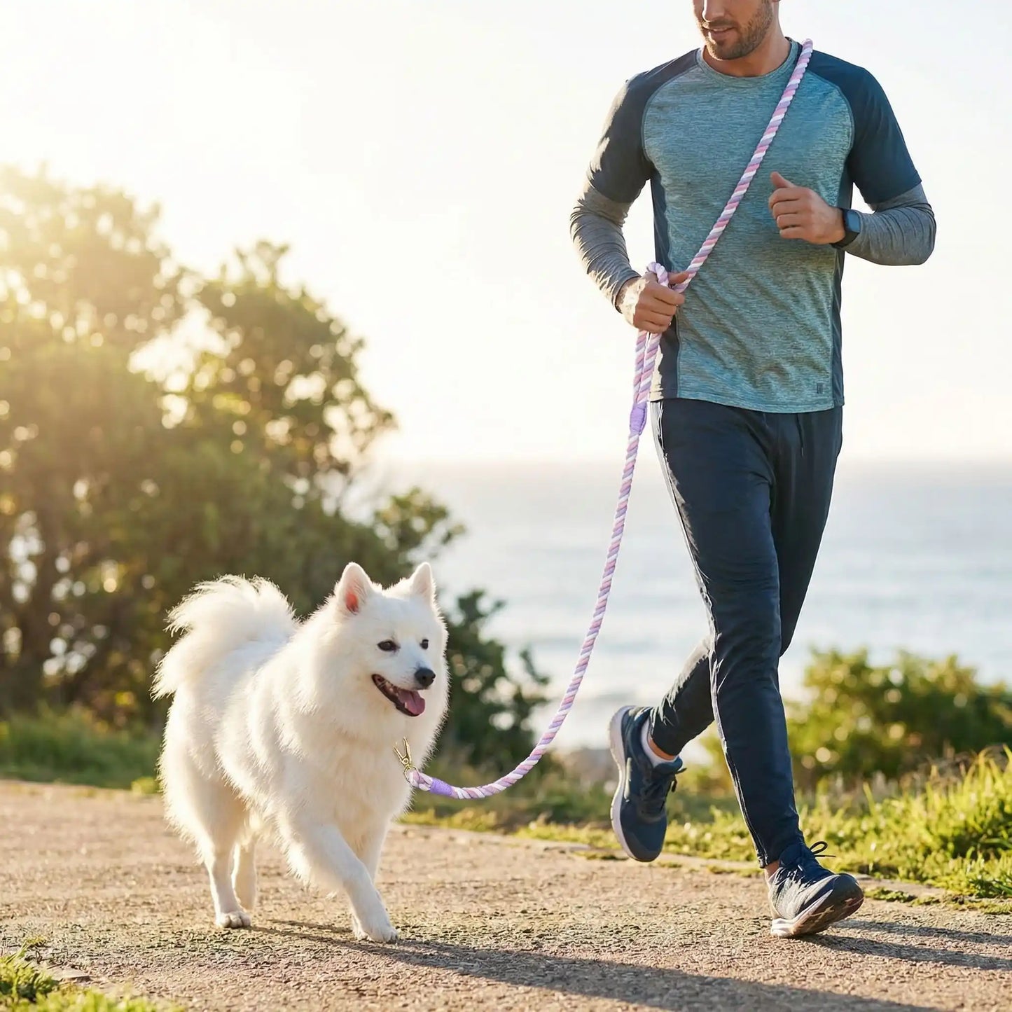 Un homme avec les mains libres fait du jogging avec son spitz japonais et sa laisse pour chien violette.
