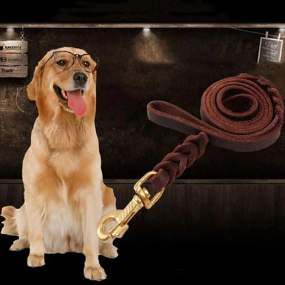 laisse pour chien golden assis avec laisse cuir