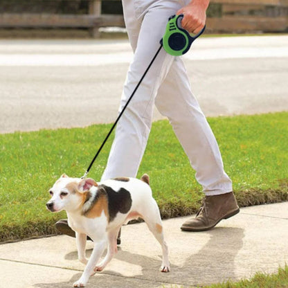 laisse pour chien homme avec chien trotoire en laisse