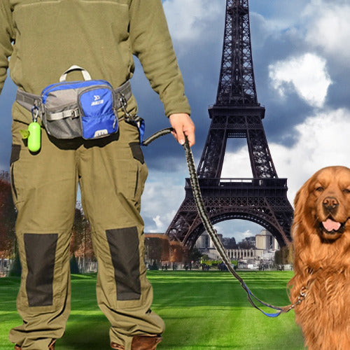 laisse pour chien homme chien laisse tour eiffel