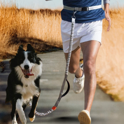 laisse pour chien homme cour avec chien laisse