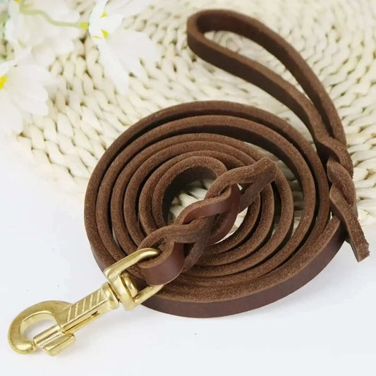 Une laisse pour chien en cuir de couleur marron.