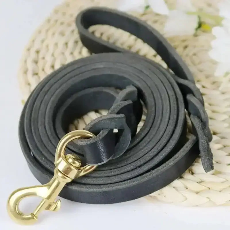 Une laisse pour chien en cuir véritable de couleur noire.