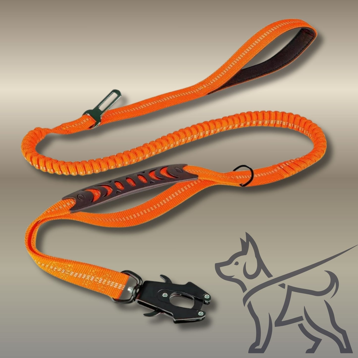 Laisse pour chien | LaisseTactique™️ - Jolianimaux