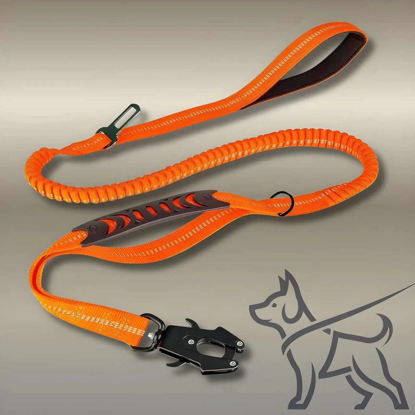Une laisse pour chien de couleur orange.
