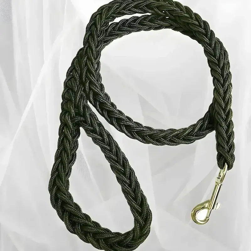 Une laisse pour chien tressée de couleur vert armé.