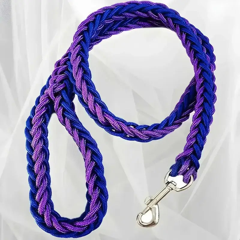 Une laisse pour chien violette et bleue tressée.