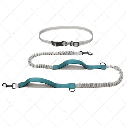 Une laisse pour chien mains libres double poignée de couleur turquoise.