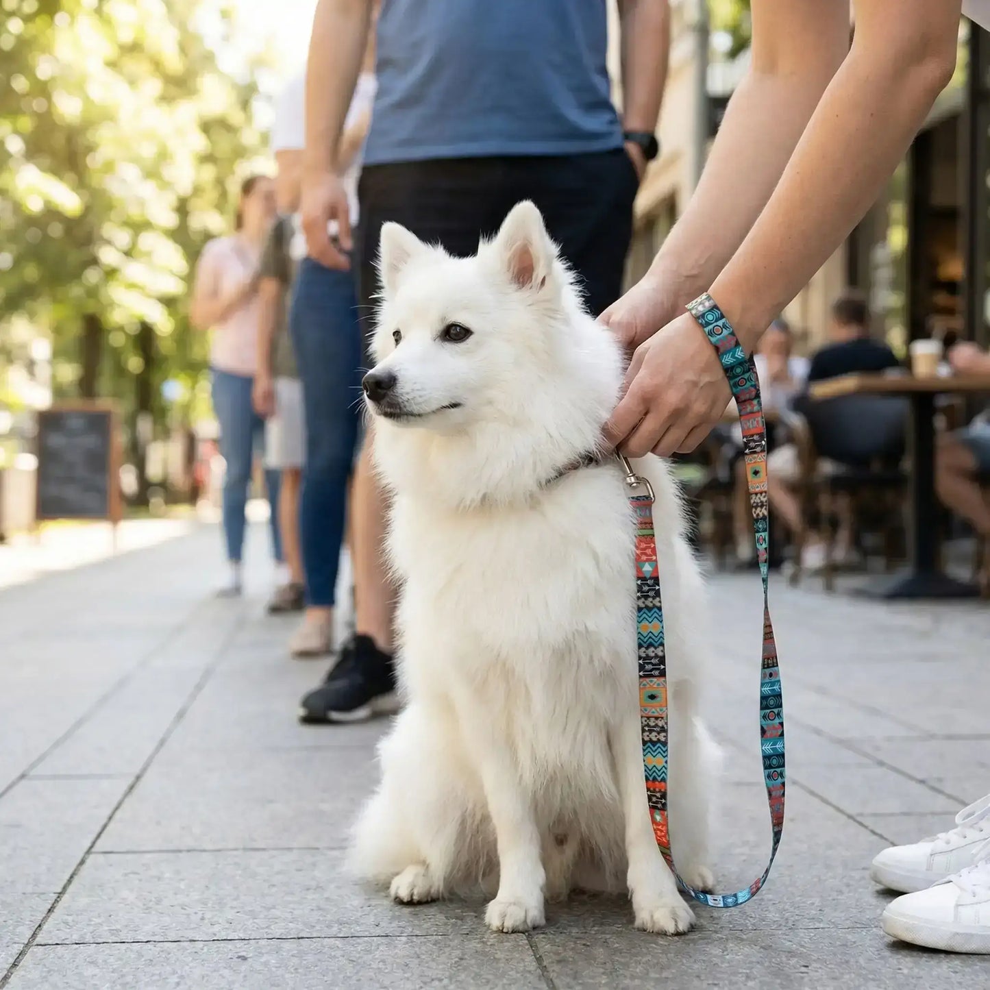 Une femme sur un trottoir met en place la laisse pour chien multicolore style indien à son spitz japonais.