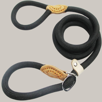 laisse pour chien noirs