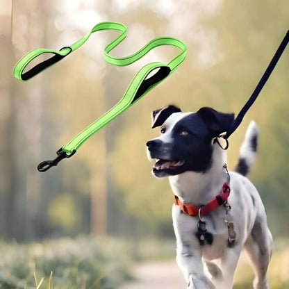 Un Jack Russell avec une laisse pour chien de couleur vert fluo.