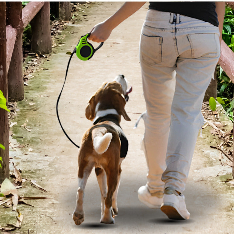 laisse pour chien promenade femme avec chien par laisse