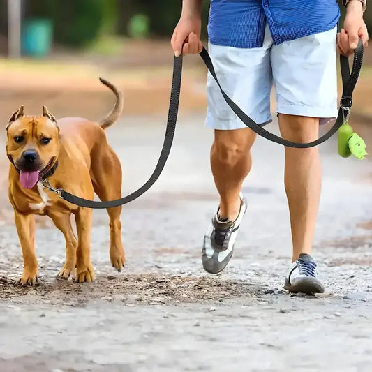 Un pitbull et son maître marchent avec une laisse pour chien noir.