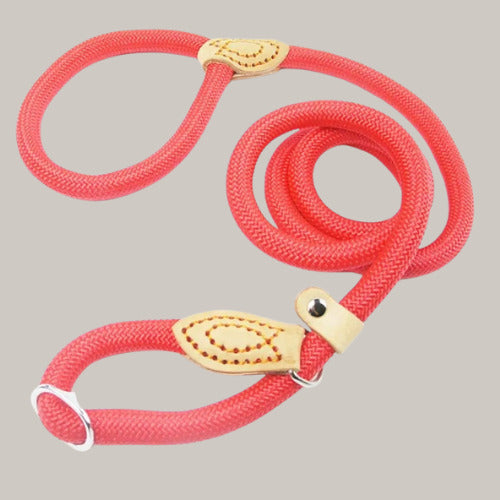 laisse pour chien rouge