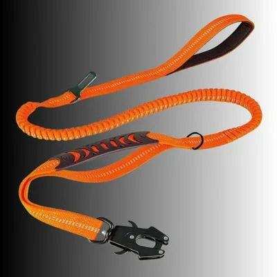 laisse pour chien tactique couleur orange