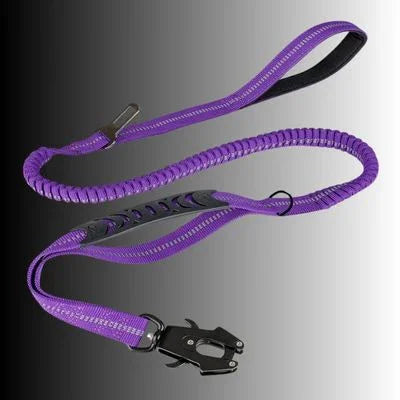 laisse pour chien tactique couleur violet