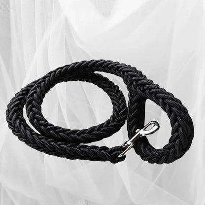 laisse pour chien tresser couleur noir