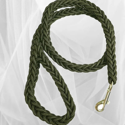 laisse pour chien tresser couleur vert arme