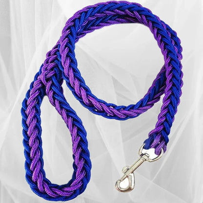 laisse pour chien tresser couleur violet noir