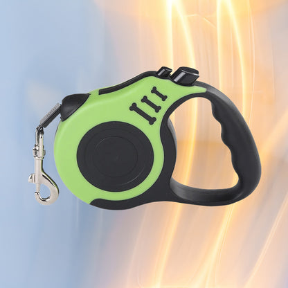 laisse pour chien vert