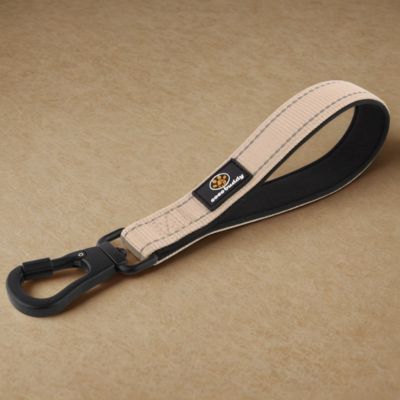 laisses pour chiens couleur beige