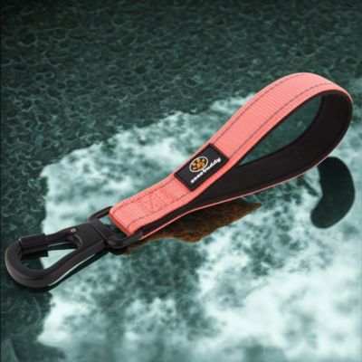 laisses pour chiens couleur saumon