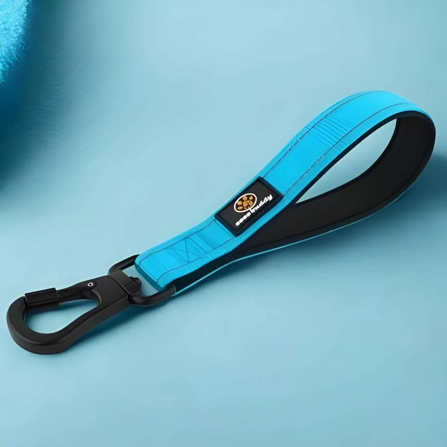 De petites laisses pour chien de couleur bleue pour chien réactif.