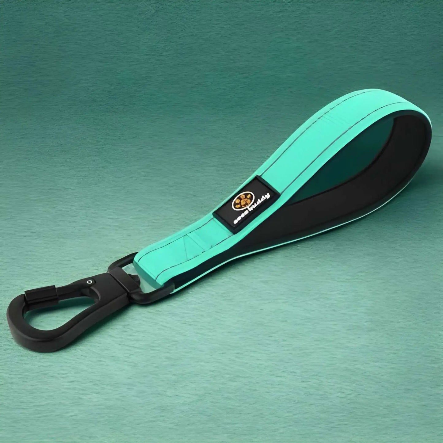 De petites laisses pour chiens de couleur turquoise avec mousqueton noir.