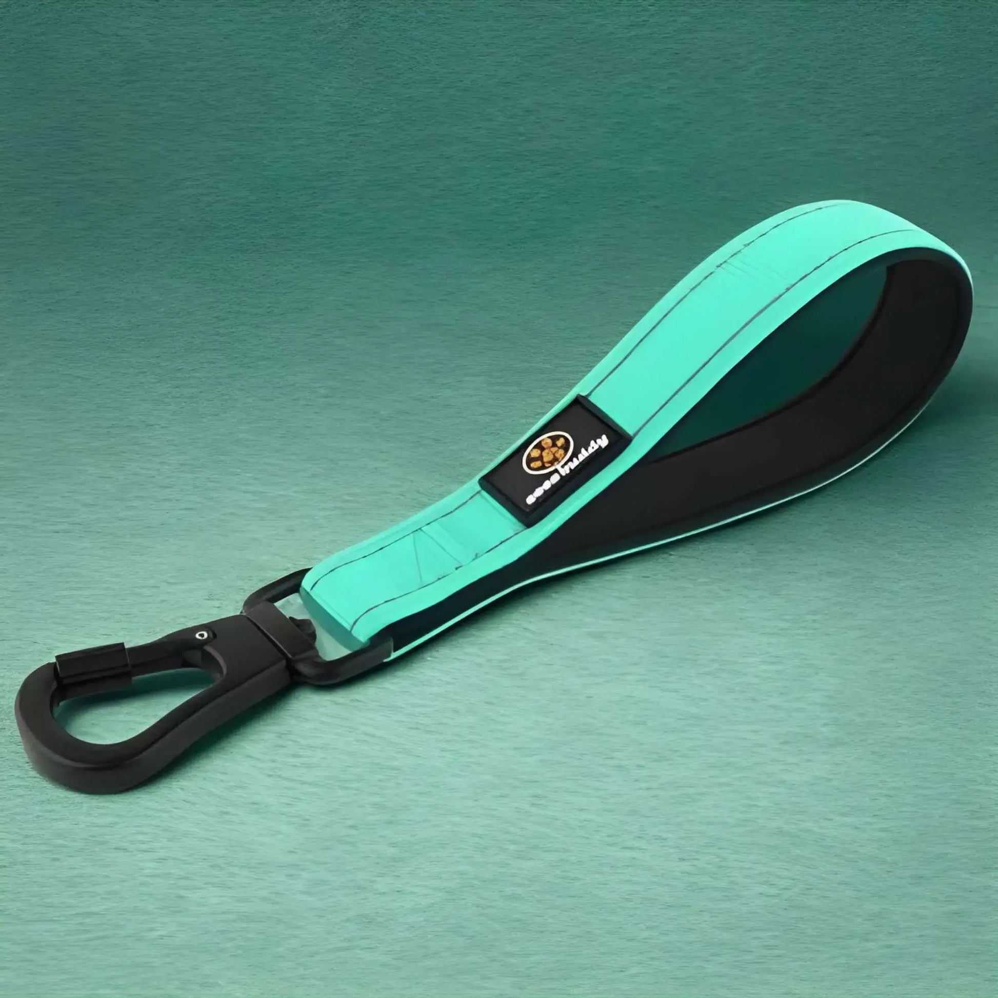 De petites laisses pour chiens de couleur turquoise avec mousqueton noir.