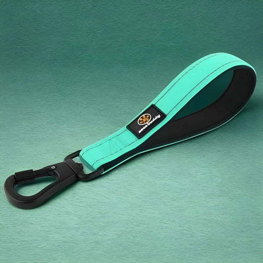 De petites laisses pour chiens de couleur turquoise avec mousqueton noir.