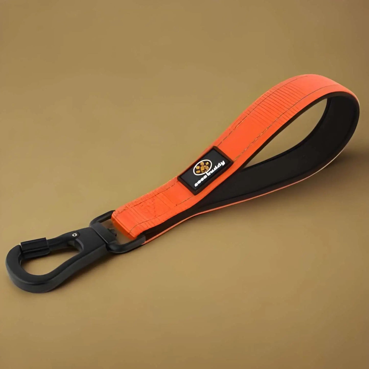 De petites laisses pour chien de couleur orange.