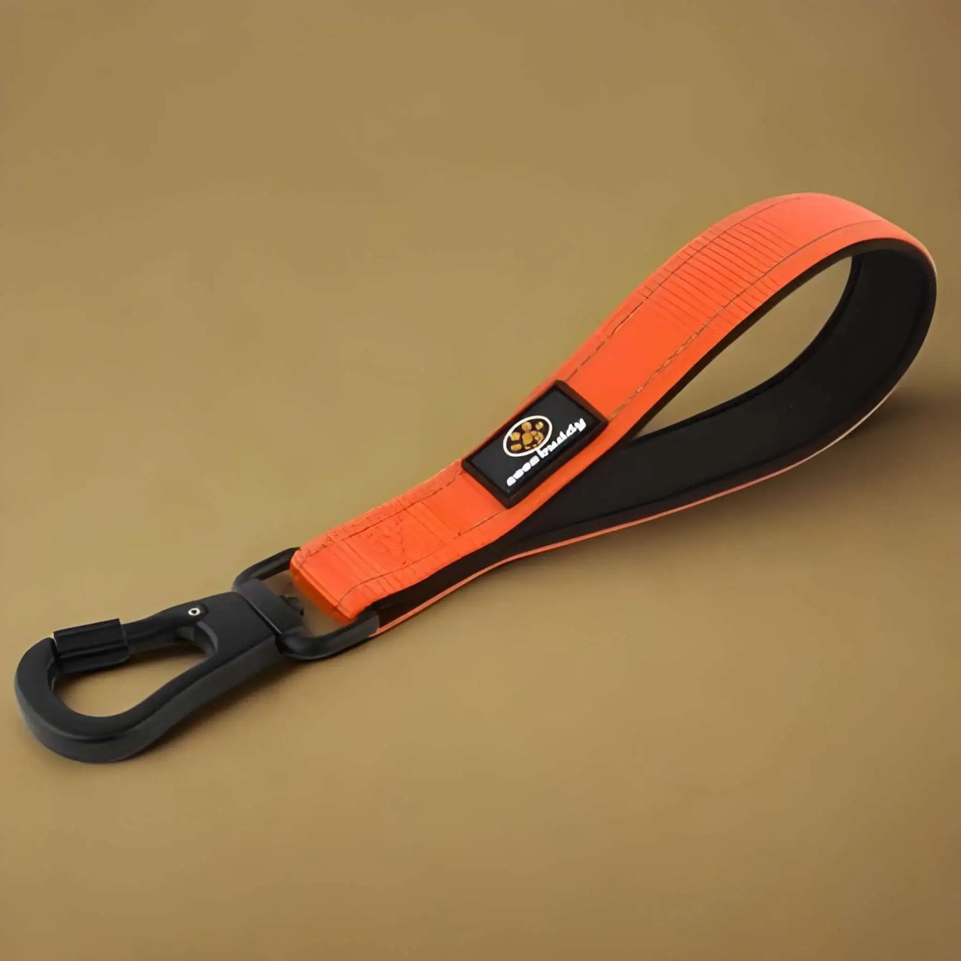 De petites laisses pour chien de couleur orange.