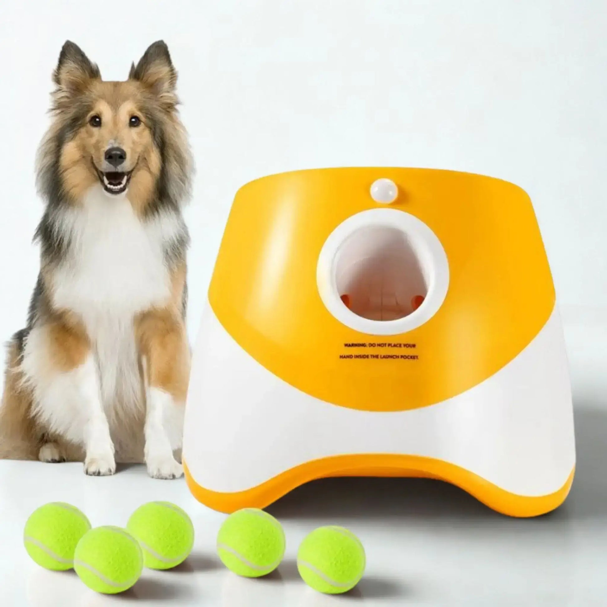 Un colley avec un lanceur de balle automatique pour chien orange.