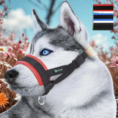 licol chien hosky licol rouge