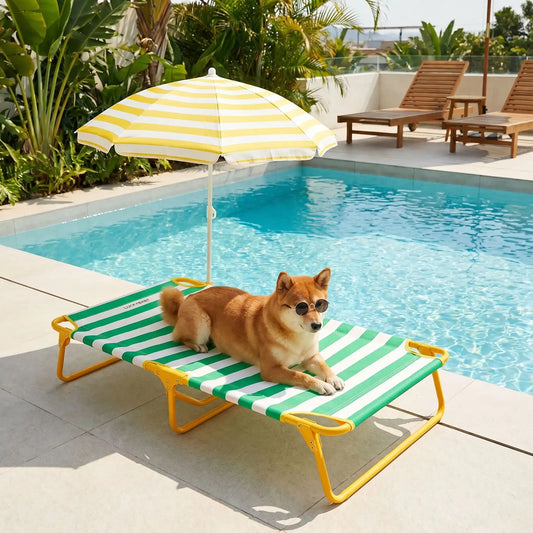 Un shiba inu près de la piscine est allongé sur son lit de camp pour chien turquoise.